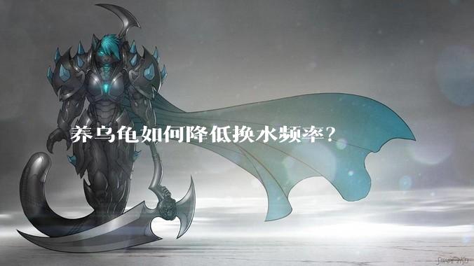 养乌龟如何降低换水频率？